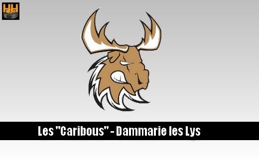 Photo hockey Dammarie recherchent gardiens pour sa D3 et U18. - Division 3 : Dammarie-les-Lys (Les Caribous)