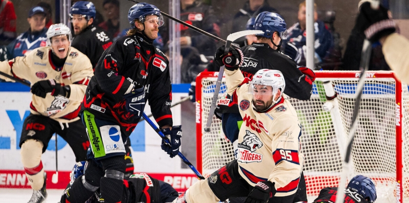 Photo hockey DEL : Derby des Tigres - Hockey en Europe