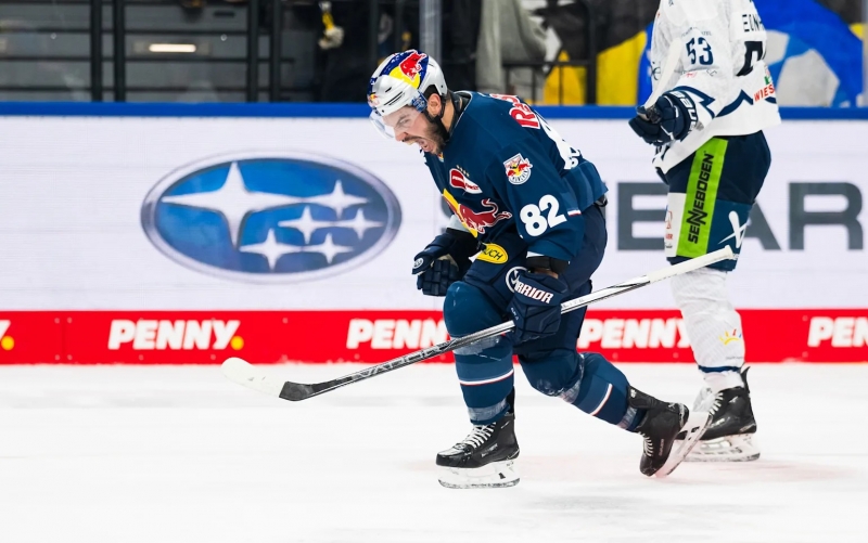 Photo hockey DEL : La charge du taureau rouge - Hockey en Europe