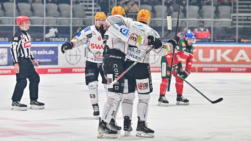 Photo hockey DEL : Le Pingouin  toute allure - Hockey en Europe