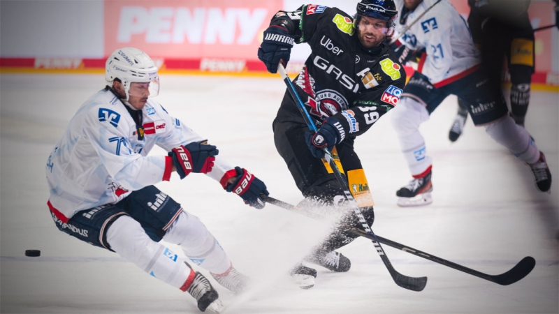 Photo hockey DEL : Les ours dnent de l