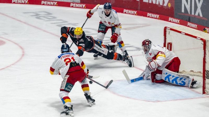 Photo hockey DEL : Triomphalement - Hockey en Europe