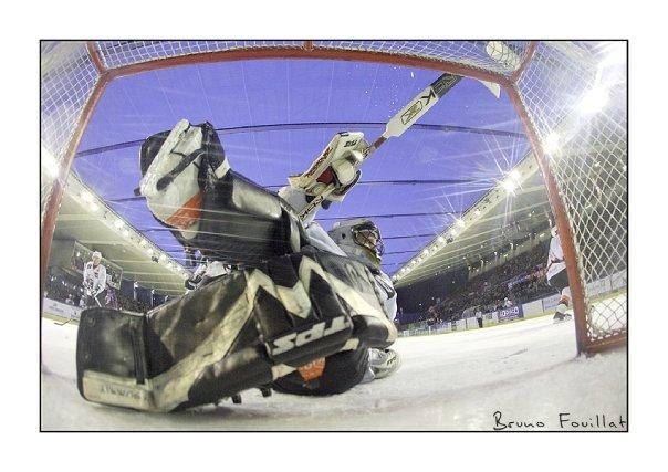 Photo hockey Des nouvelles de D. Angella : Interview - Division 2 : La Roche-sur-Yon (Les Aigles)