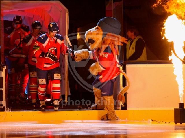 Photo hockey KHL : Le Lion sans mordant - KHL - Kontinental Hockey League