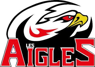 Photo hockey  La D3 de Nice recrute - Division 3 : Nice II (Les Aigles)