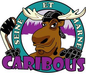 Photo hockey Les Caribous recherche un gardien. - Hockey Loisir