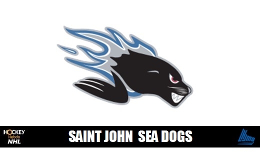 Photo hockey LHJMQ - Boutilier des Sea Dogs  l