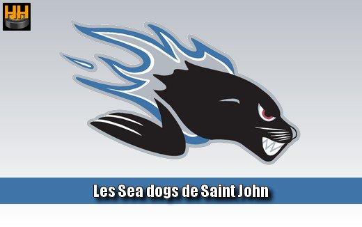 Photo hockey LHJMQ - Cinq de rang pour les Seadogs ! - LHJMQ - Ligue de Hockey Junior Majeur du Qubec