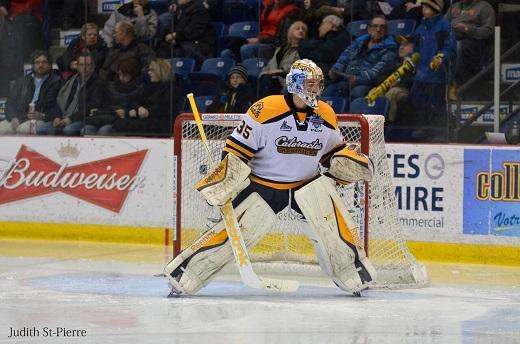 Photo hockey LHJMQ : La ligue a un nouveau patron - LHJMQ - Ligue de Hockey Junior Majeur du Qubec