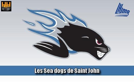 Photo hockey LHJMQ : Les SeaDogs battent les Islanders et restent  la premire place - LHJMQ - Ligue de Hockey Junior Majeur du Qubec