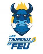 Photo hockey Limoges : Nouveau site internet - Division 2 : Limoges (Les Taureaux de Feu)