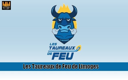 Photo hockey Limoges recrute une Entraneur Mineur - Hockey Mineur : Limoges (Les Taureaux de Feu)