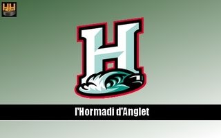 Photo hockey LM : Un dfenseur  Anglet -  : Anglet (Hormadi)