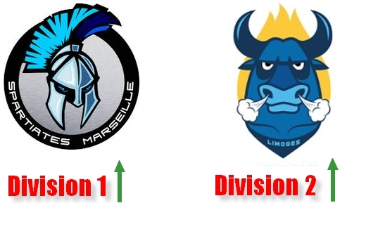 Photo hockey Marseille en D1, Limoges en D2 - Hockey en France