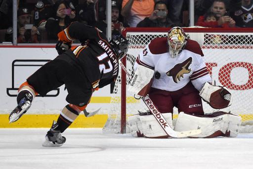 Photo hockey NHL : Les Coyotes ont mang du canard - NHL : National Hockey League - AHL