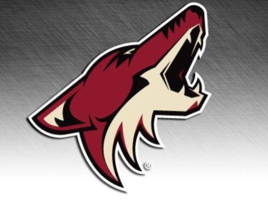 Photo hockey NHL : Les Coyotes restent  Glendale - NHL : National Hockey League - AHL