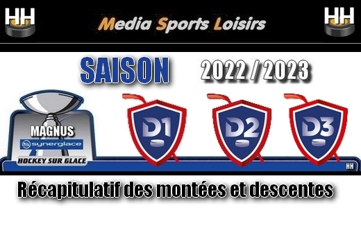 Photo hockey Rcapitulatif des montes et descentes. - Hockey en France