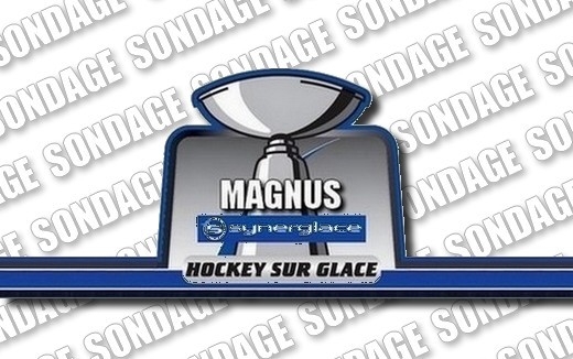 Photo hockey RESULTAT SONDAGE MAGNUS - GRENOBLE VS ANGERS  - Ligue Magnus