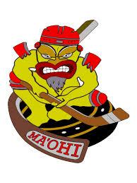 Photo hockey Roller : Les Maohis de Pessac recrutent  - Roller Hockey