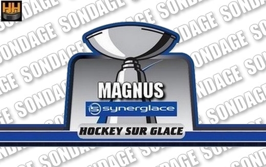 Photo hockey SONDAGE - 1/2 finale match 5 - Grenoble vs Bordeaux - Ligue Magnus