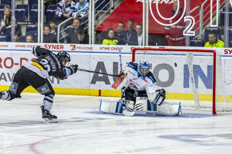 Photo hockey TELH : La peau des tigres - TELH - Tipsport Extraliga Lednho Hokeje