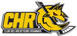 Photo hockey Tournoi 2016 - Roanne - Division 2 : Roanne (Les Renards)