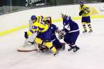 Photo hockey album CM U20  Ukraine - France