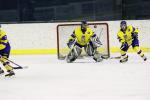 Photo hockey album CM U20  Ukraine - France