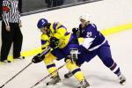 Photo hockey album CM U20  Ukraine - France