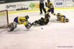 Photo hockey album CM U20 DAN-UKR / ALL-UKR / SLO-UKR