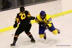 Photo hockey album CM U20 DAN-UKR / ALL-UKR / SLO-UKR