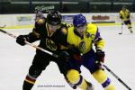 Photo hockey album CM U20 DAN-UKR / ALL-UKR / SLO-UKR