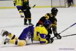 Photo hockey album CM U20 DAN-UKR / ALL-UKR / SLO-UKR