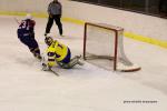 Photo hockey album CM U20 DAN-UKR / ALL-UKR / SLO-UKR