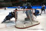 Photo hockey album Conti Cup 10 - Grenoble - Sheffield