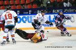 Photo hockey album Conti Cup 10 - Minsk - Sheffield