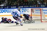 Photo hockey album Conti Cup 10 - Yunost Minsk - Grenoble