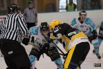 Photo hockey album D3 : Carr final - Limoges 2013