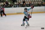 Photo hockey album D3 : Carr final - Limoges 2013