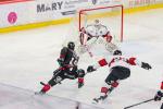 Photo hockey match Amiens  - Bordeaux le 22/12/2024