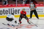 Photo hockey match Amiens  - Marseille le 15/10/2024