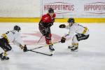 Photo hockey match Amiens  - Rouen le 17/09/2024