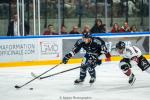 Photo hockey match Angers  - Bordeaux le 17/09/2024