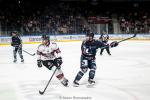 Photo hockey match Angers  - Bordeaux le 17/09/2024