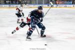 Photo hockey match Angers  - Bordeaux le 17/09/2024