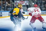 Photo hockey match Angers  - Brianon  le 29/09/2024