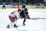 Photo hockey match Angers  - Brianon  le 29/09/2024