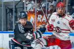 Photo hockey match Angers  - Brianon  le 29/09/2024