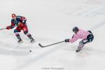 Photo hockey match Angers  - Grenoble  le 08/10/2024