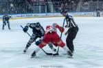 Photo hockey match Angers  - Grenoble  le 06/12/2024